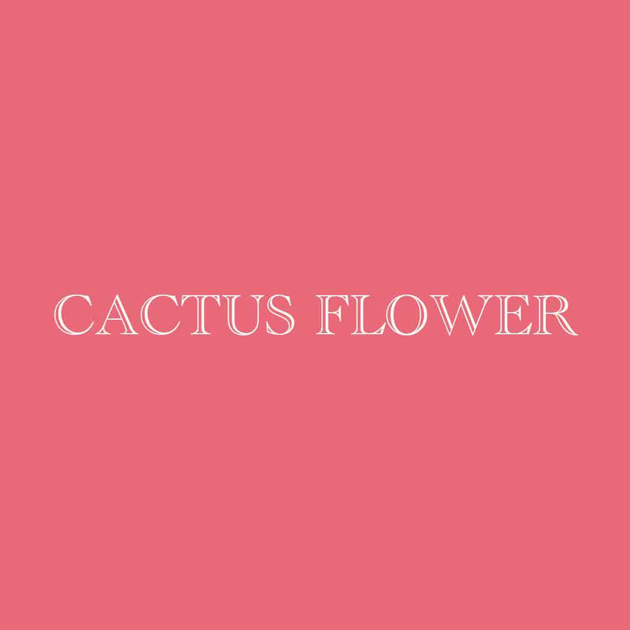 CACTUS-FLOWER.jpg