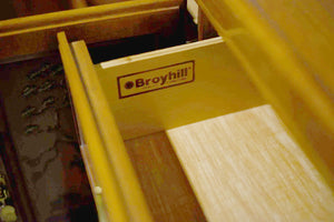 PAINT TO ORDER Mid Century Chinoiserie Decorated 9 Drawer Sideboard or Dresser by Broyhill