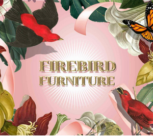 Firebirdfurniture.com