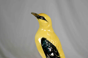 Early 20th Century Porcelain Indian Golden Oriole by Karl Ens Volkstedt Germany