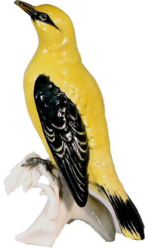 Early 20th Century Porcelain Indian Golden Oriole by Karl Ens Volkstedt Germany