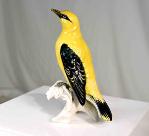 Early 20th Century Porcelain Indian Golden Oriole by Karl Ens Volkstedt Germany