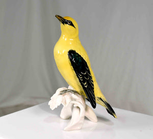 Early 20th Century Porcelain Indian Golden Oriole by Karl Ens Volkstedt Germany