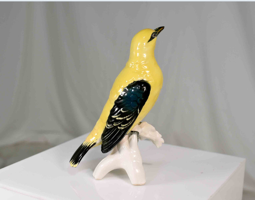 Early 20th Century Porcelain Indian Golden Oriole by Karl Ens Volkstedt Germany