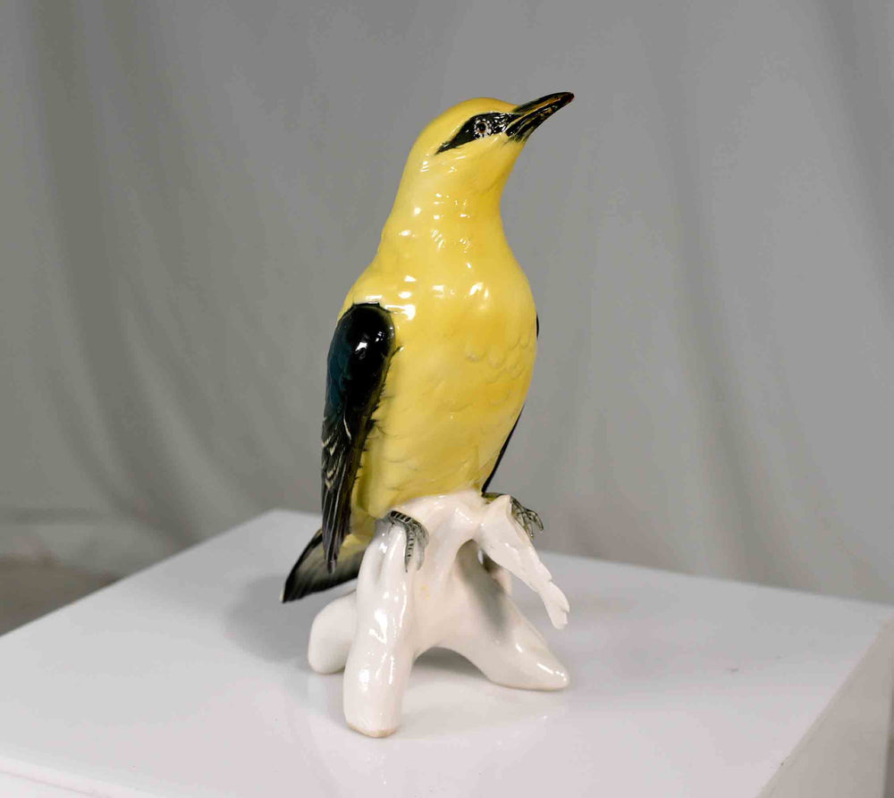 Early 20th Century Porcelain Indian Golden Oriole by Karl Ens Volkstedt Germany