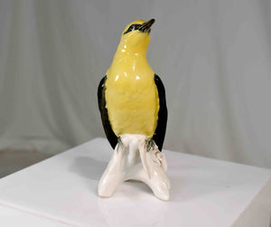 Early 20th Century Porcelain Indian Golden Oriole by Karl Ens Volkstedt Germany