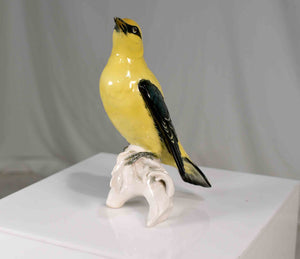 Early 20th Century Porcelain Indian Golden Oriole by Karl Ens Volkstedt Germany