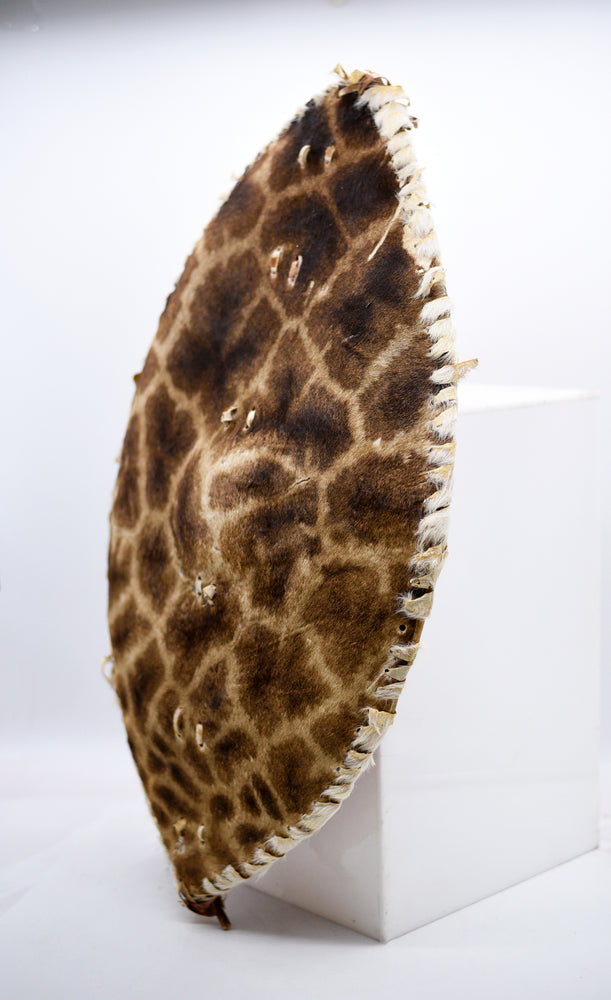 Vintage Zulu Handmade African Giraffe Hide Warrior Shield