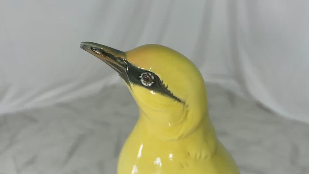 
            
                Load and play video in Gallery viewer, Early 20th Century Porcelain Indian Golden Oriole by Karl Ens Volkstedt Germany
            
        